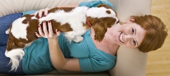 10 пород собак для ленивых